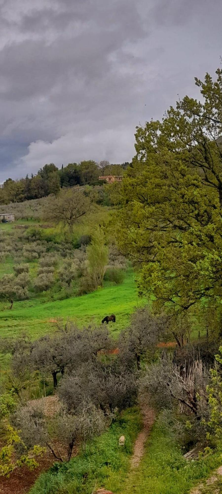 B&B Il Sentiero Di Assisi Dış mekan fotoğraf