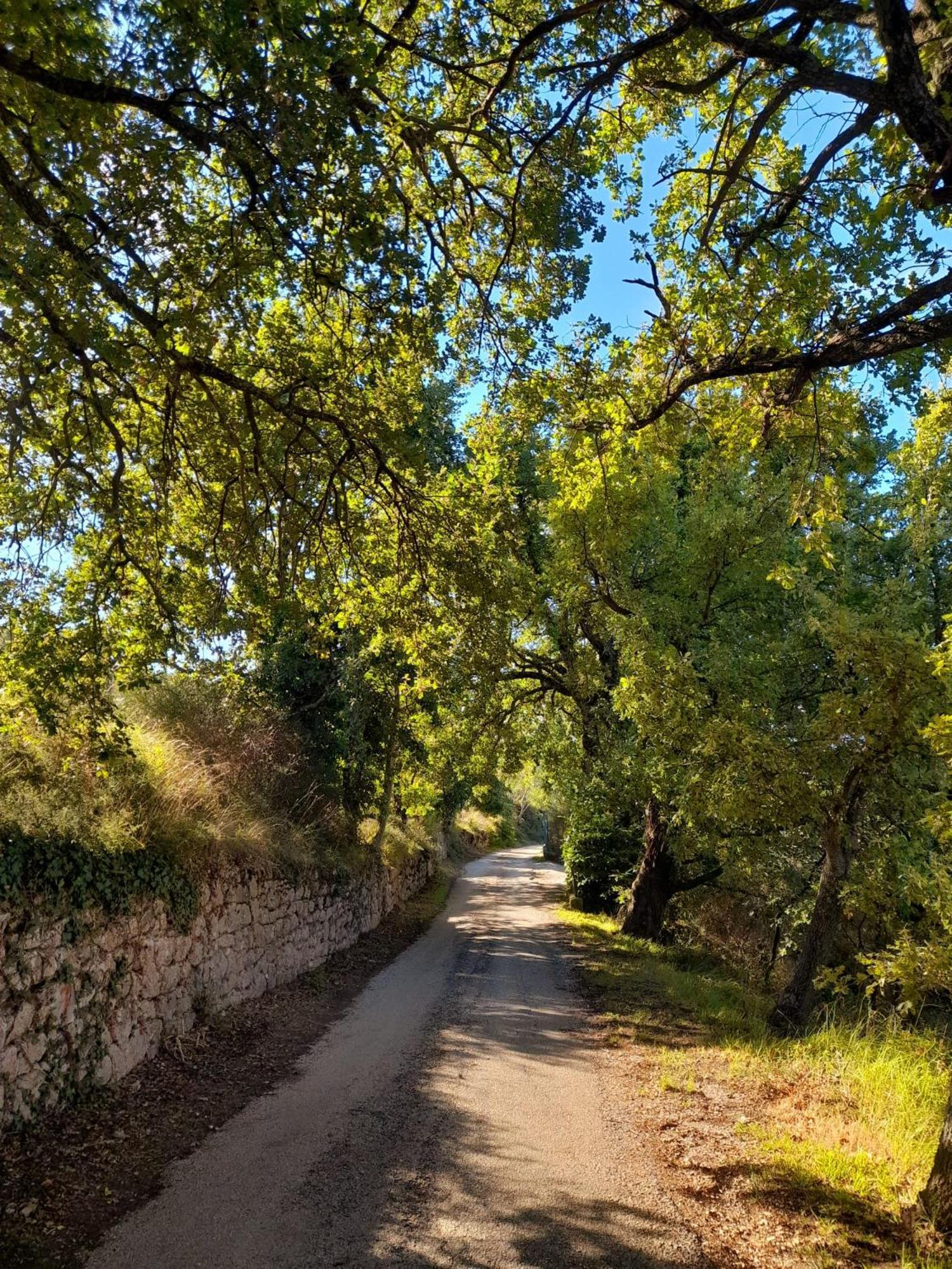 B&B Il Sentiero Di Assisi Dış mekan fotoğraf