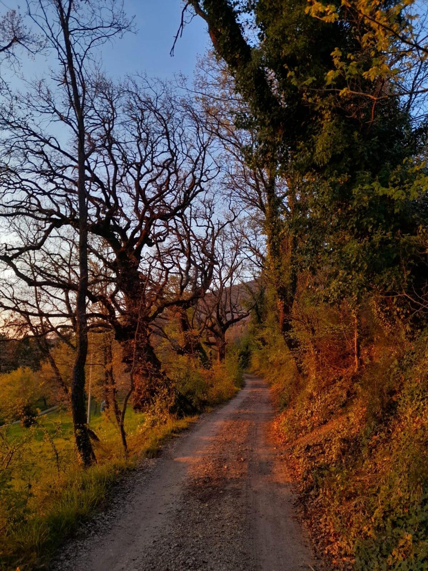 B&B Il Sentiero Di Assisi Dış mekan fotoğraf