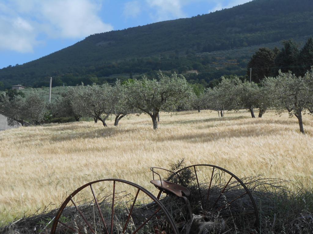 B&B Il Sentiero Di Assisi Dış mekan fotoğraf