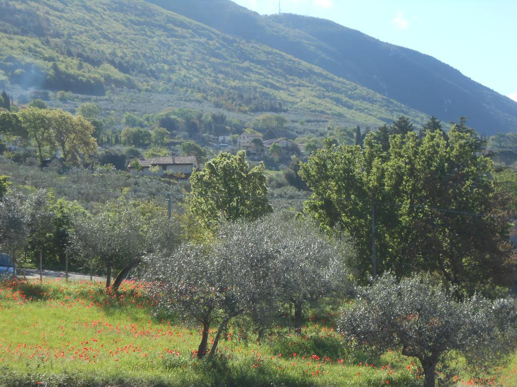 B&B Il Sentiero Di Assisi Dış mekan fotoğraf