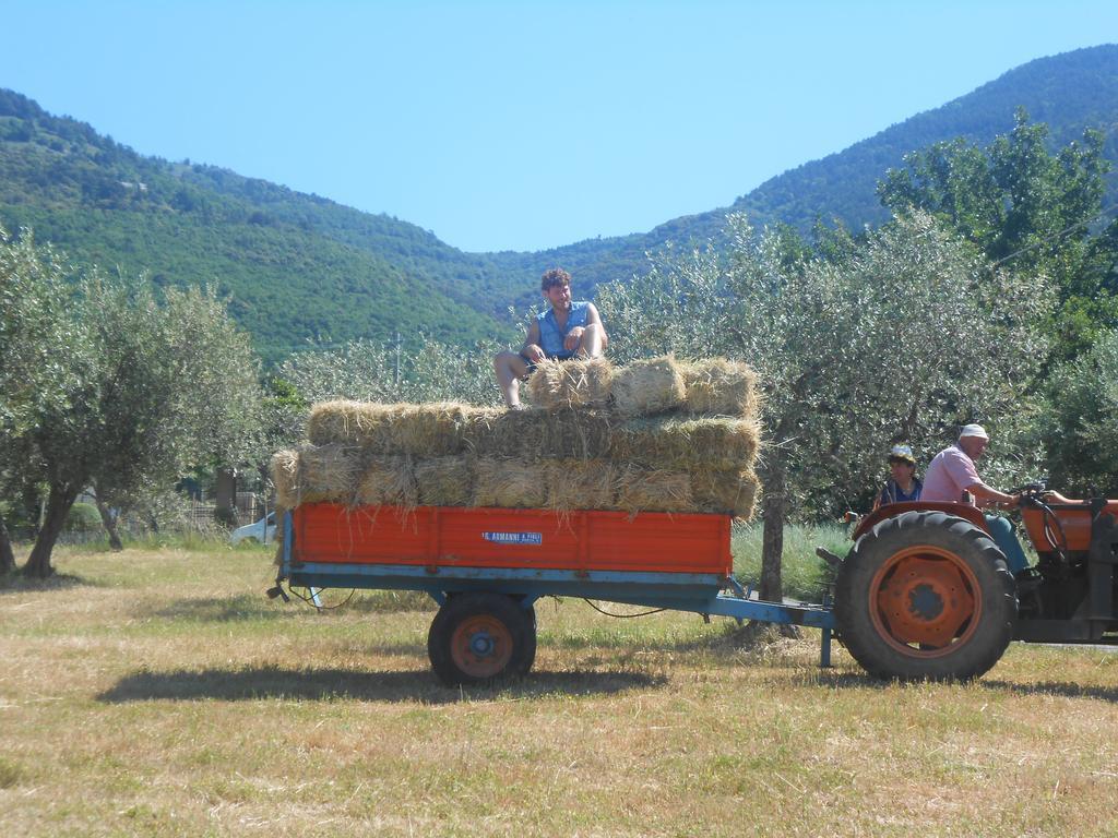 B&B Il Sentiero Di Assisi Dış mekan fotoğraf