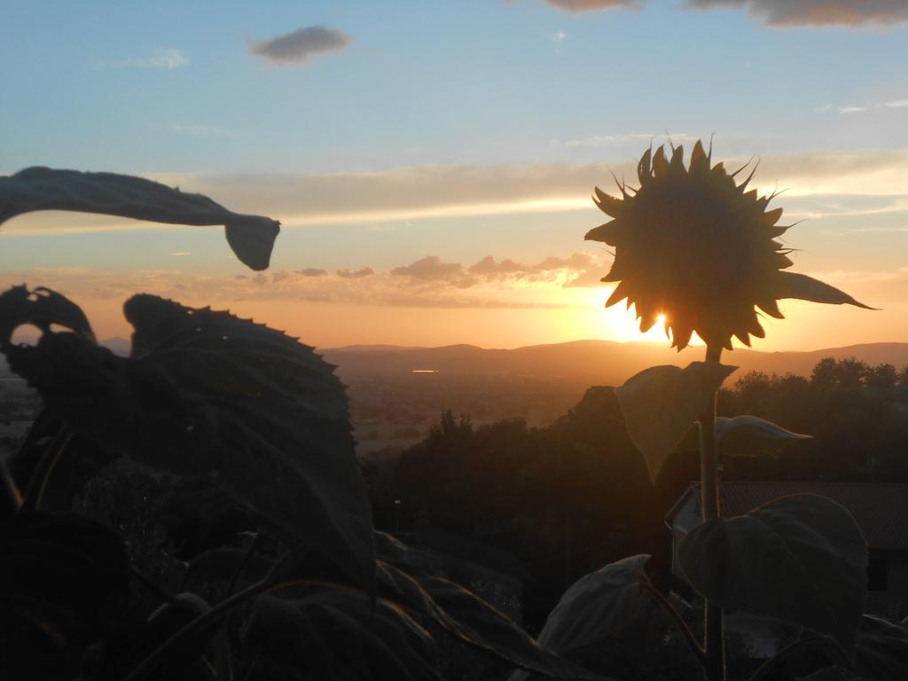 B&B Il Sentiero Di Assisi Dış mekan fotoğraf