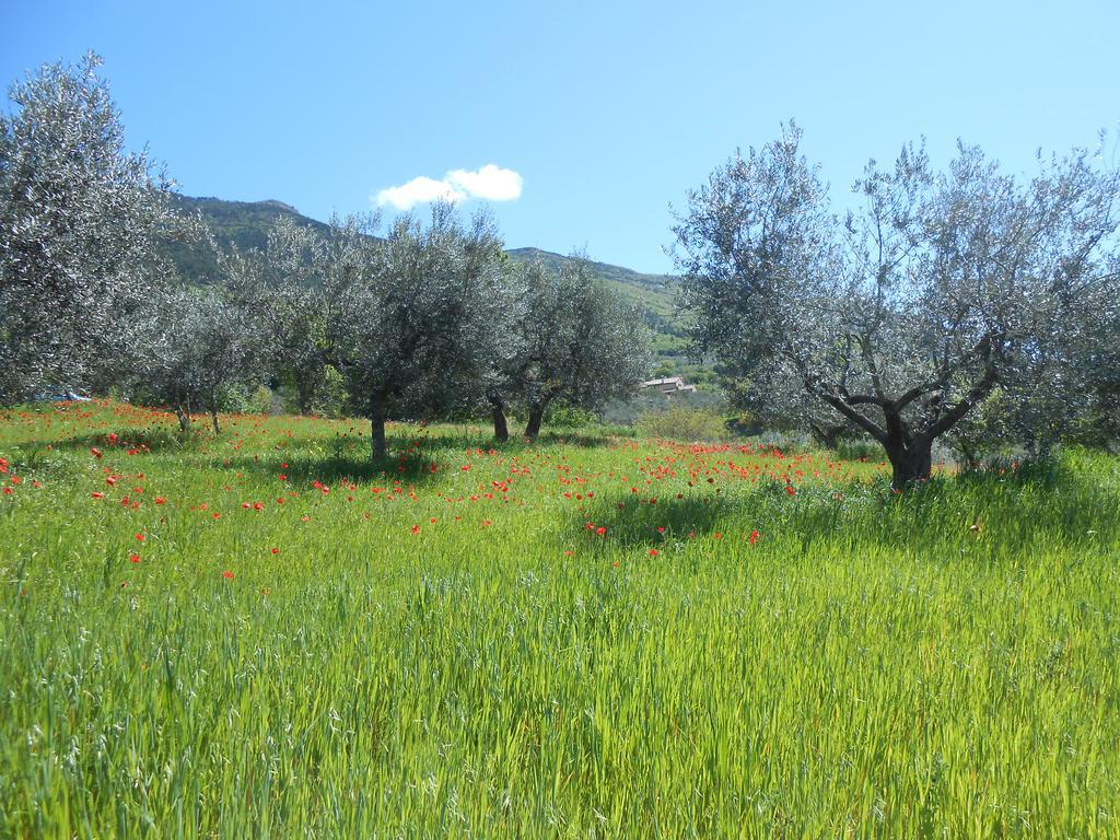 B&B Il Sentiero Di Assisi Dış mekan fotoğraf