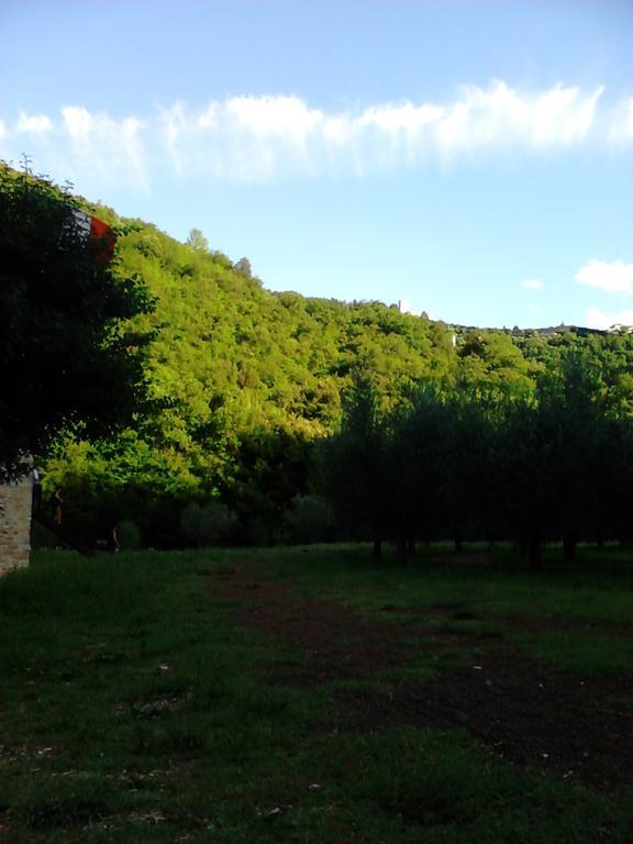 B&B Il Sentiero Di Assisi Dış mekan fotoğraf